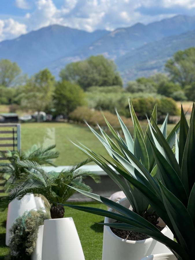 Art B&B Design Costa Volpino Exterior foto