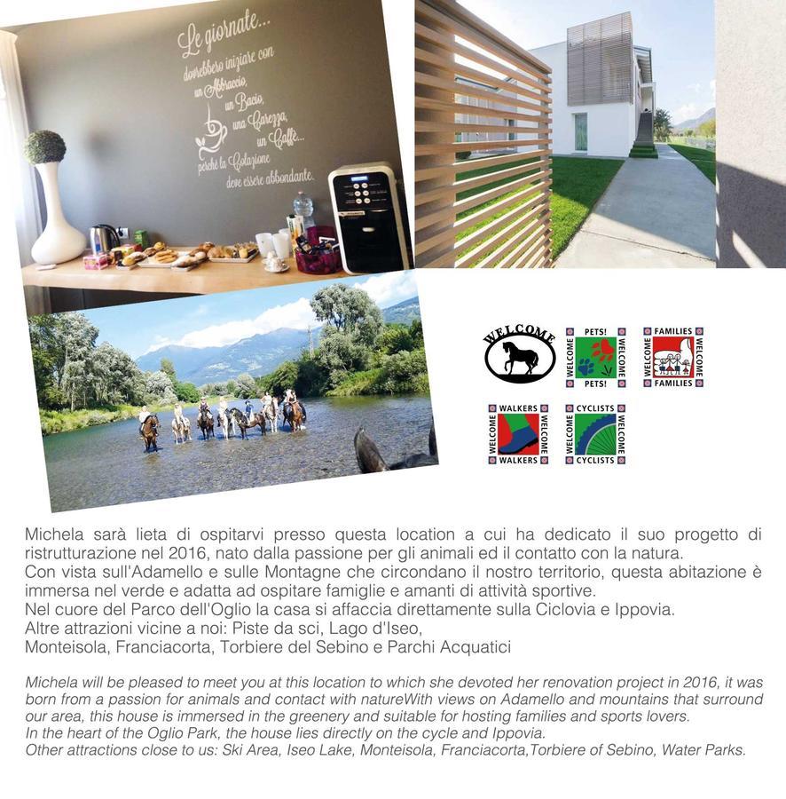 Art B&B Design Costa Volpino Exterior foto
